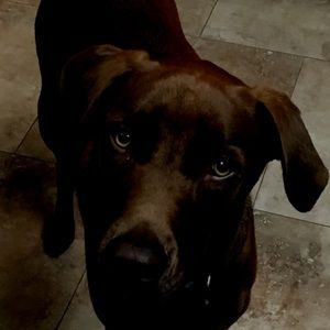 Meet your Posher, Braeden